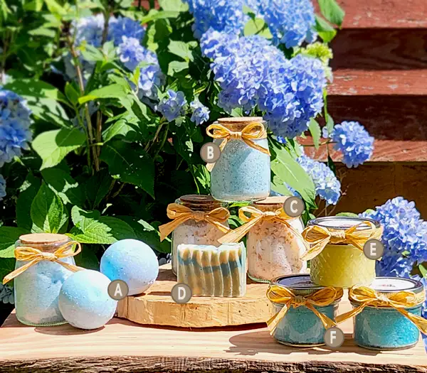 Ocean Breeze and Lily scent line with alphanumeric notation for each product.