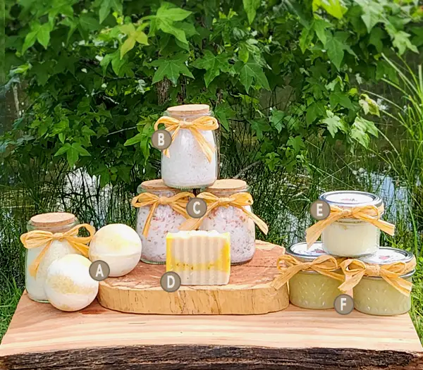 Vanilla scent line with alphanumeric notation for each product.